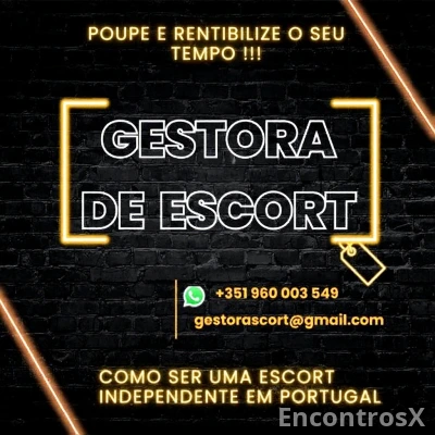 Gestora de Anuncios + de 11 anos / referenciada no mercado