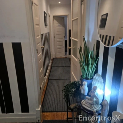 Quartos disponíveis alameda dom Afonso Henriques