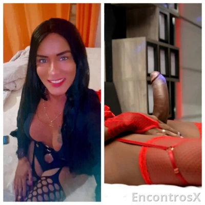 Funchal viveiros centro  soca fundo dotada 23 cm xxl leitada