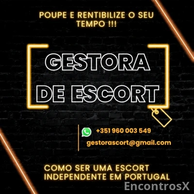 Gestora Anúncios Certificada| +12 Anos Resultads Comprovados