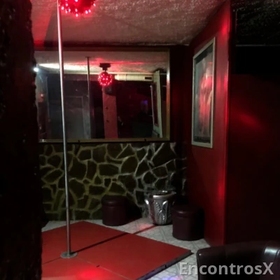Se queres fazer bom dinheiro está é a solução