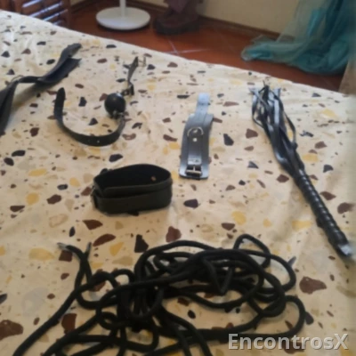TRANS ASIATICA MESTIÇA