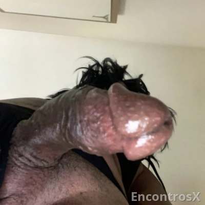 IsabellaCavallona travesti