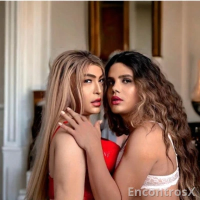 Duas gatas leiteiras
