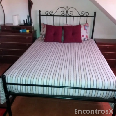 Alugo quartos