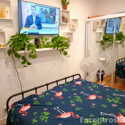 QUARTOS SEMANA OU DIÁRIAS
