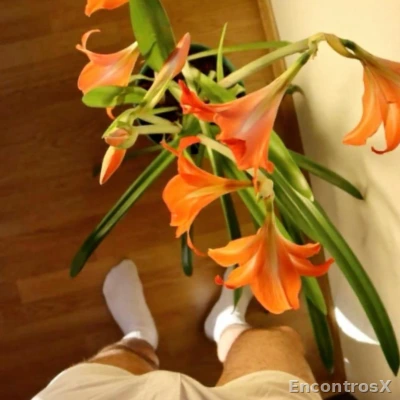 Massagens Masculinas com Glamour